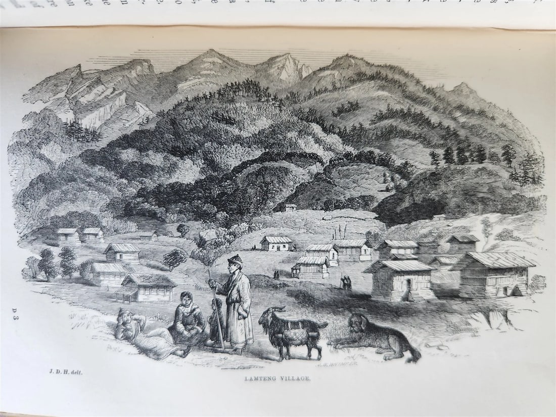 1855 HIMALAYAN JOURNALS by Joseph Hooker 2 VOLUMES antique ILLUSTRATED - 9
