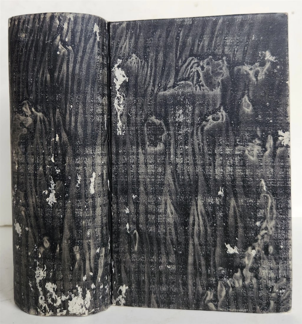 1600 LATIN GREEK DICTIONARY antique RARE 16th century Dictionarii Latino Graeci - 2