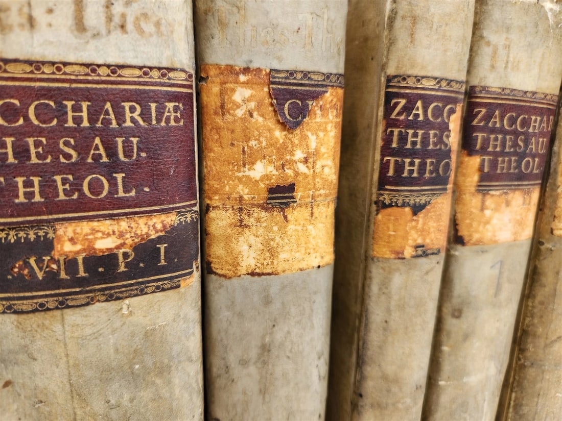 1762 THEOLOGICAL DICTIONARY 13 VELLUM BOUND VOLS antique THESAURUS THEOLOGICUS - 2