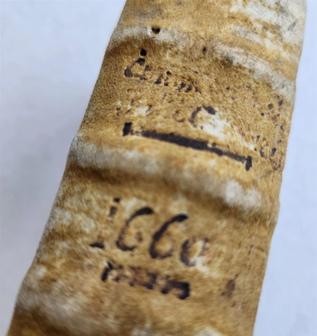 1660 JULIUS CAESAR antique ILLUSTRATED w/ MAPS - 6