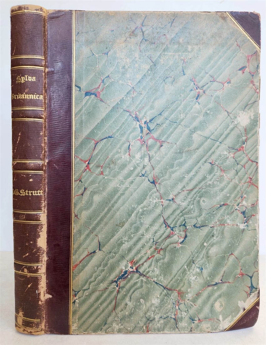 1831 SYLVA BRITANNICA or Portraits of Forest Trees antique ILLUSTRATED - 2