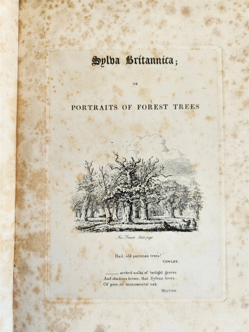 1831 SYLVA BRITANNICA or Portraits of Forest Trees antique ILLUSTRATED - 4