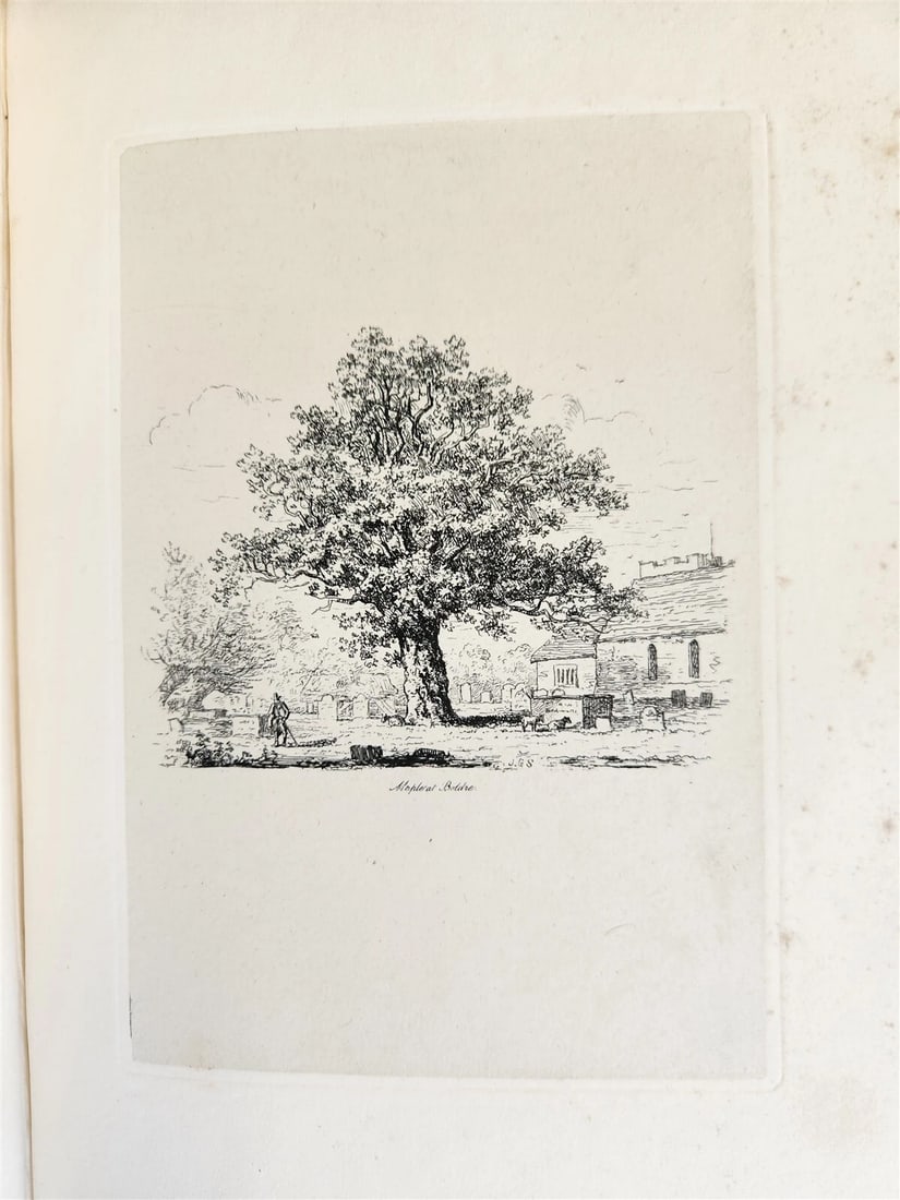 1831 SYLVA BRITANNICA or Portraits of Forest Trees antique ILLUSTRATED - 7