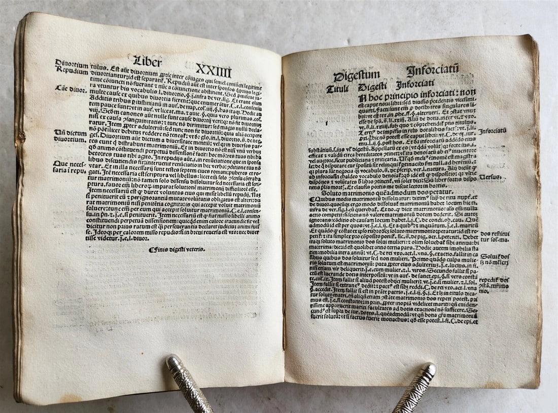 1508 POST-INCUNABULA LAW BOOK by SEBASTIAN BRANT antique VELLUM BOUND - 10