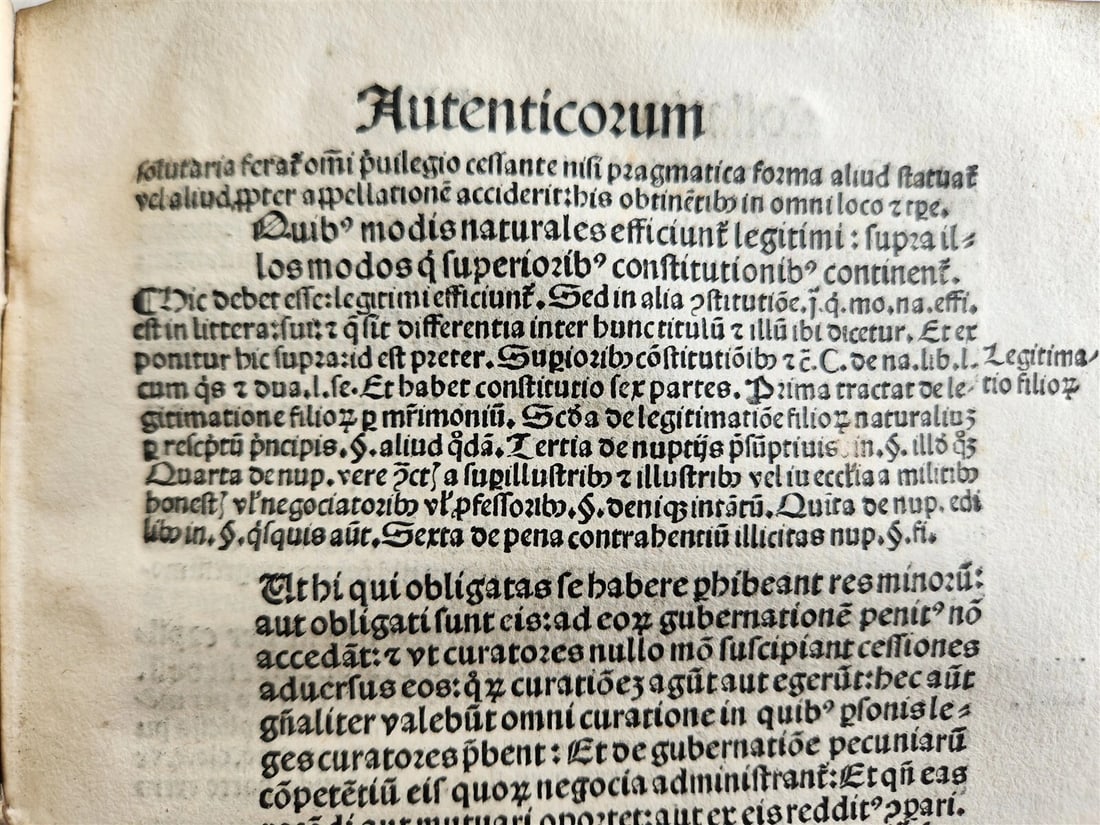 1508 POST-INCUNABULA LAW BOOK by SEBASTIAN BRANT antique VELLUM BOUND - 17