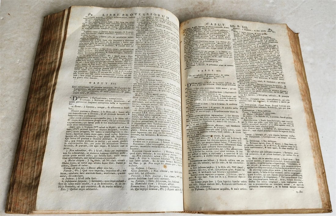 1743 BIBLE COMMENTARY Joannis Stephani Menochius in LATIN VELLUM FOLIO antique - 8