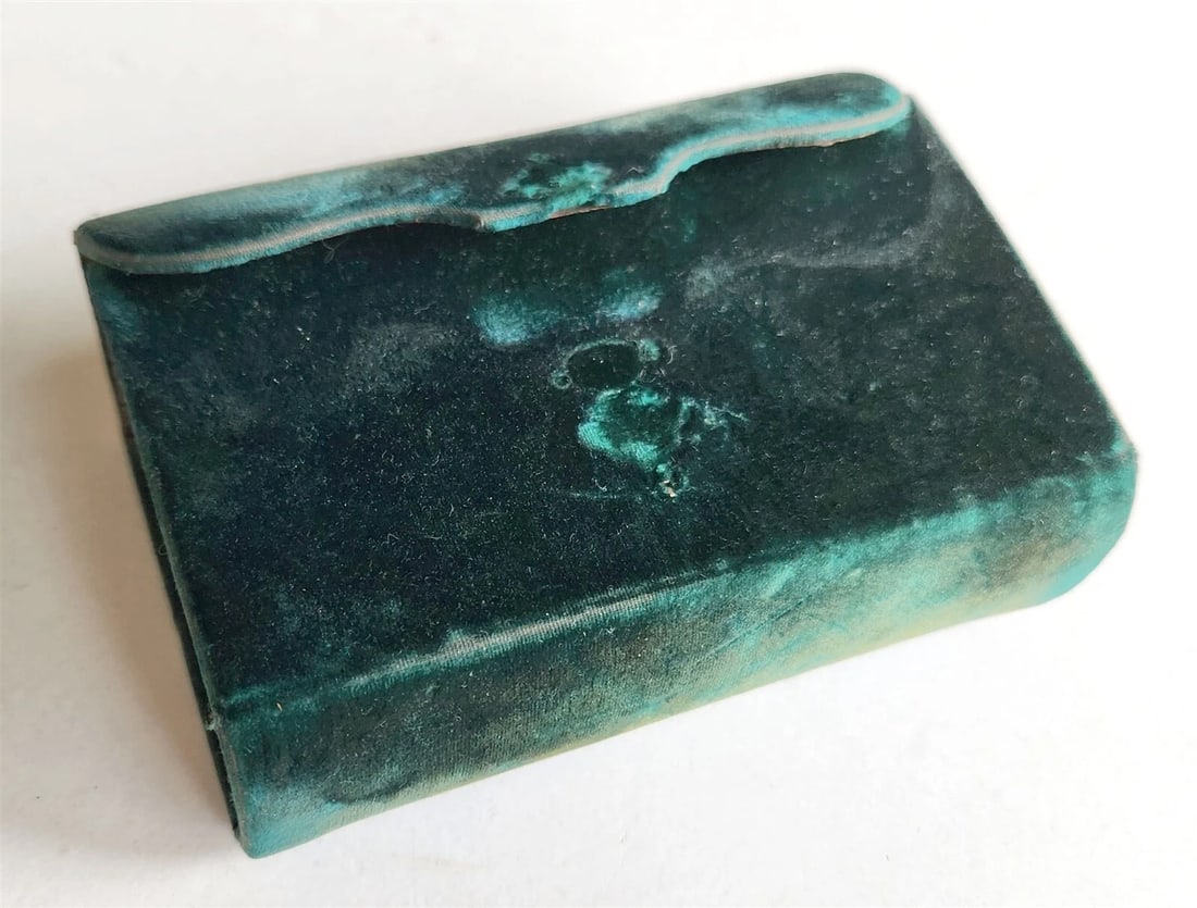 1884 BIBLE in DUTCH NEW TESTAMENT antique VELVET BINDING - 3