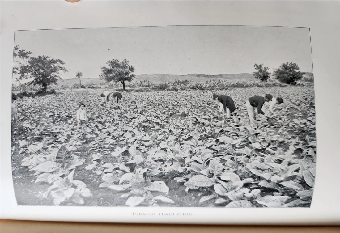 1898 COMMERCIAL CUBA by WILLIAM CLARK ILLUSTRATED SIGNED by AUTHOR ! antique - 3