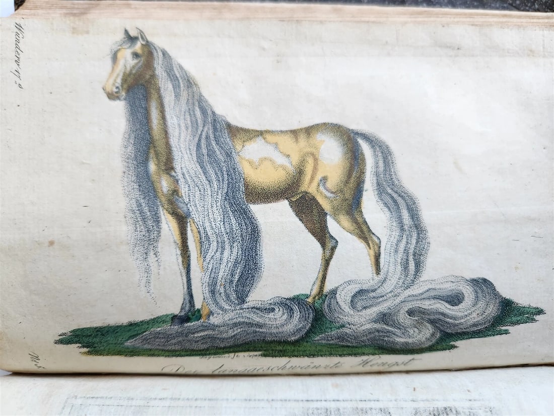 1803-04 EXTRAORDINARY in NATURE ART & HUMAN LIFE 2 VOLUMES antique ILLUSTRATED - 15