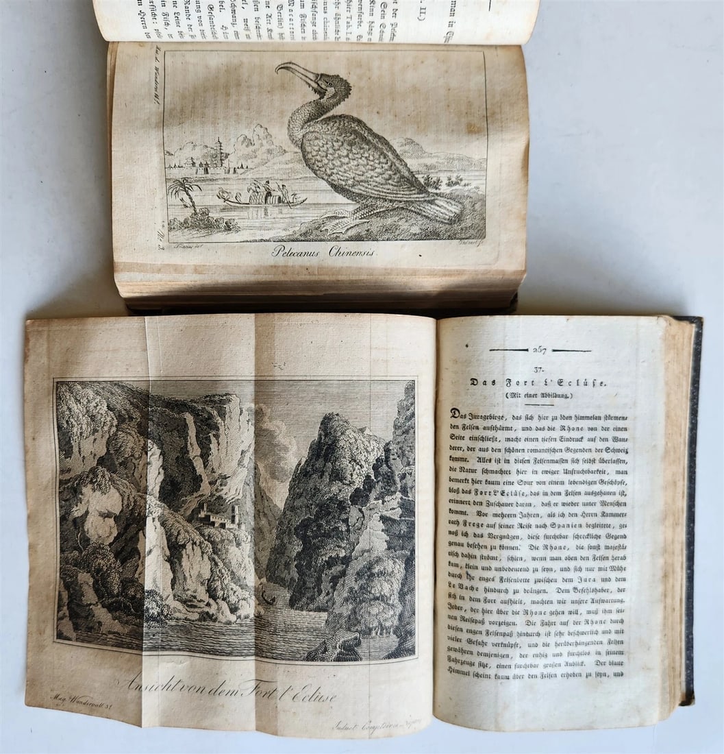 1803-04 EXTRAORDINARY in NATURE ART & HUMAN LIFE 2 VOLUMES antique ILLUSTRATED - 5