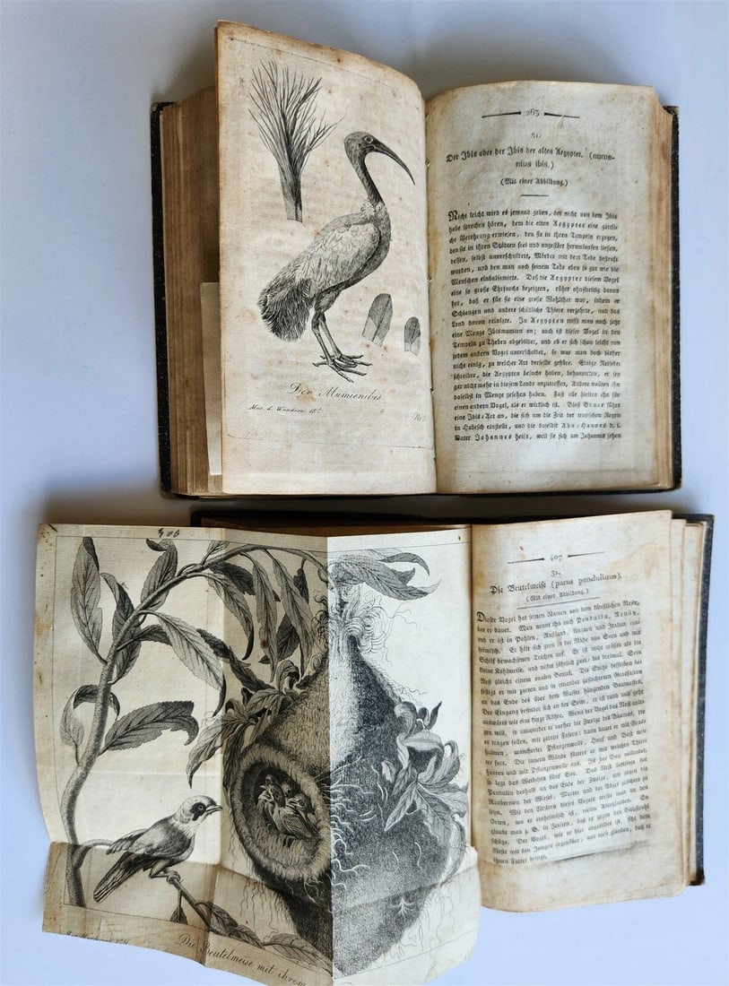 1803-04 EXTRAORDINARY in NATURE ART & HUMAN LIFE 2 VOLUMES antique ILLUSTRATED - 9
