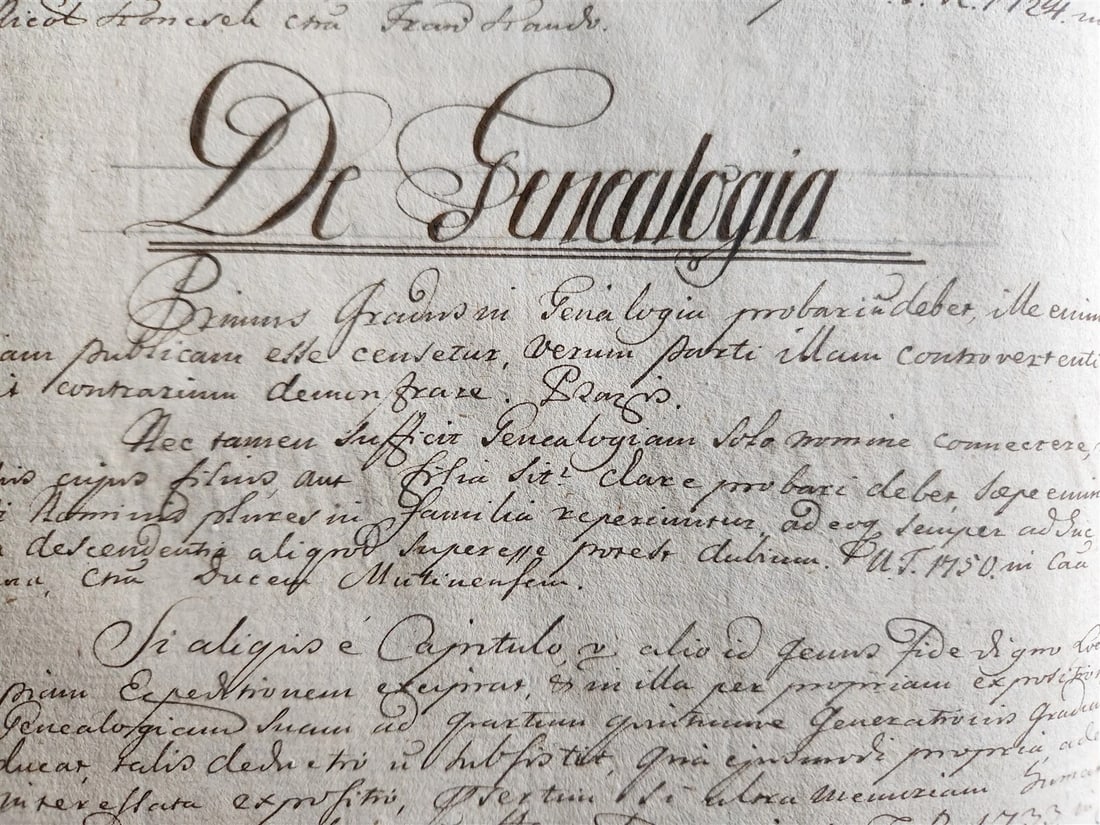 1769 LAW MANUSCRIPT in LATIN antique FOLIO 200 pages COURT DECISIONS - 6