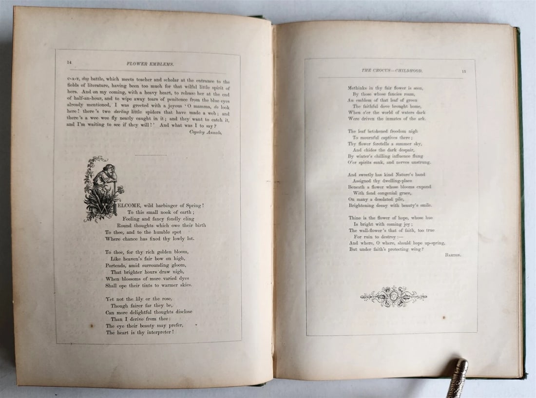 1871 FLOWER EMBLEMS ILLUSTRATED antique in ENGLISH - 12