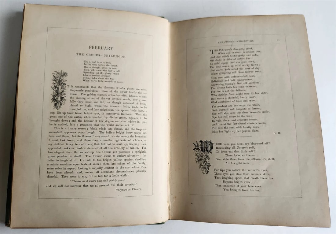 1871 FLOWER EMBLEMS ILLUSTRATED antique in ENGLISH - 13