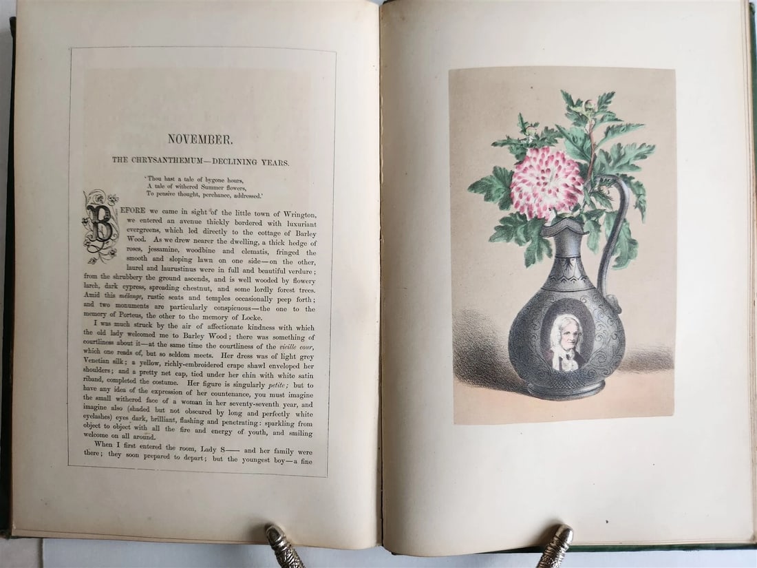 1871 FLOWER EMBLEMS ILLUSTRATED antique in ENGLISH - 5