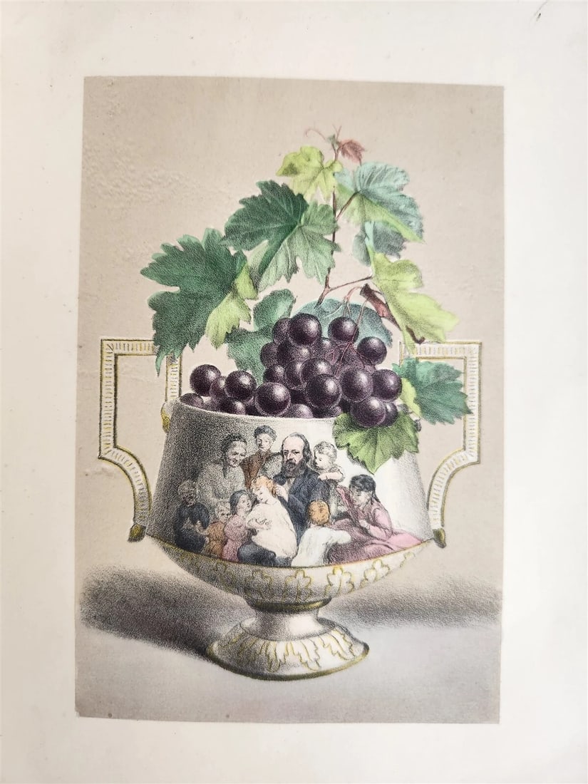 1871 FLOWER EMBLEMS ILLUSTRATED antique in ENGLISH - 6