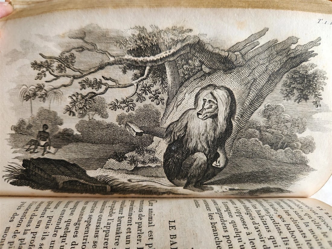 1818 HISTORY of ANIMALS ILLUSTRATED w/ 65 PLATES antique 6 VOLUMES - 10