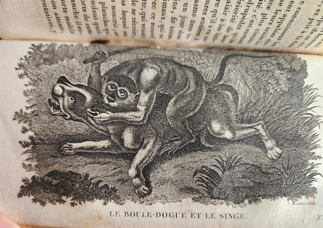 1818 HISTORY of ANIMALS ILLUSTRATED w/ 65 PLATES antique 6 VOLUMES - 11