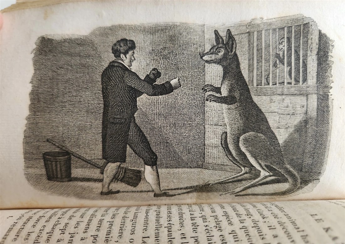 1818 HISTORY of ANIMALS ILLUSTRATED w/ 65 PLATES antique 6 VOLUMES - 12