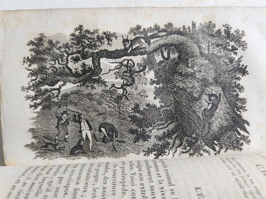 1818 HISTORY of ANIMALS ILLUSTRATED w/ 65 PLATES antique 6 VOLUMES - 13