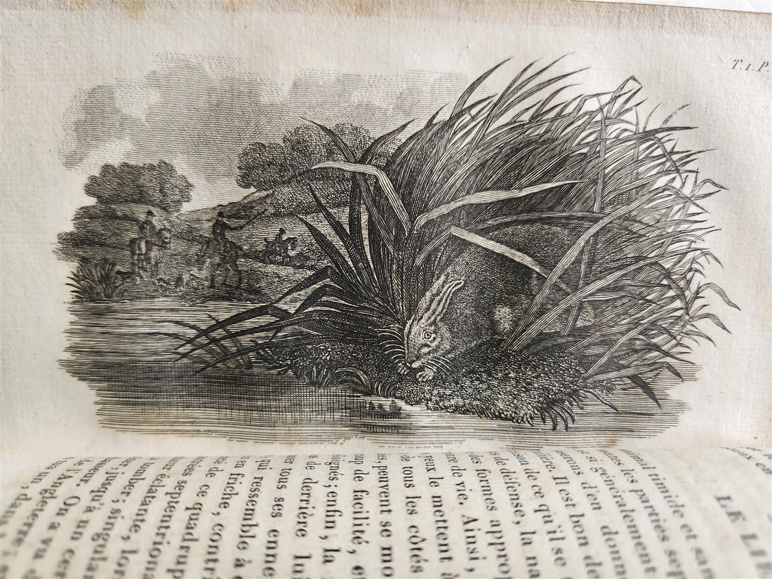 1818 HISTORY of ANIMALS ILLUSTRATED w/ 65 PLATES antique 6 VOLUMES - 14