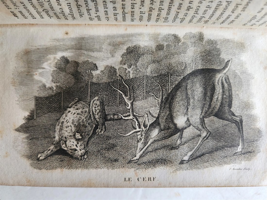 1818 HISTORY of ANIMALS ILLUSTRATED w/ 65 PLATES antique 6 VOLUMES - 16