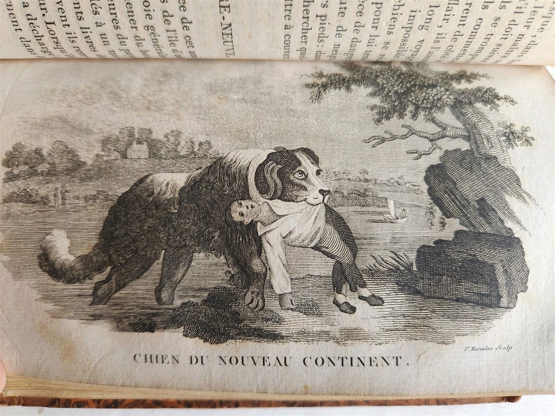 1818 HISTORY of ANIMALS ILLUSTRATED w/ 65 PLATES antique 6 VOLUMES - 17