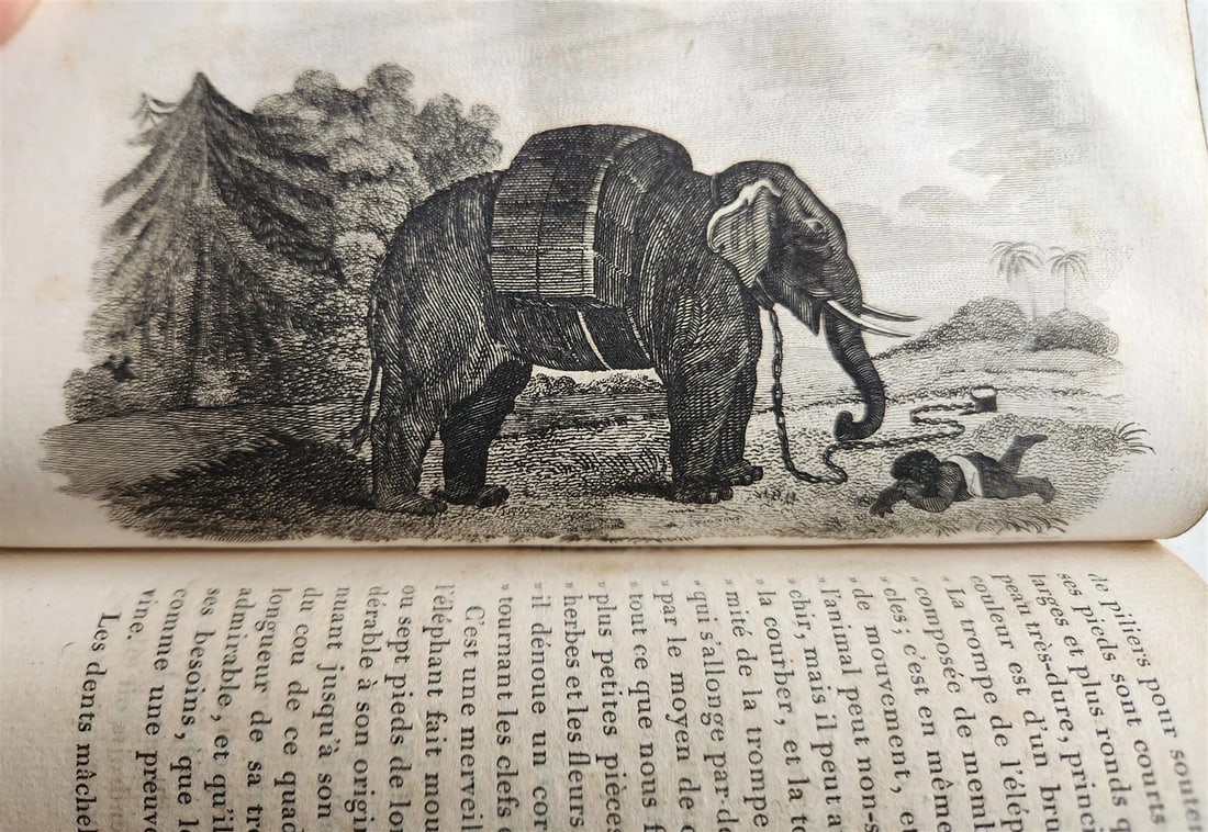1818 HISTORY of ANIMALS ILLUSTRATED w/ 65 PLATES antique 6 VOLUMES - 4