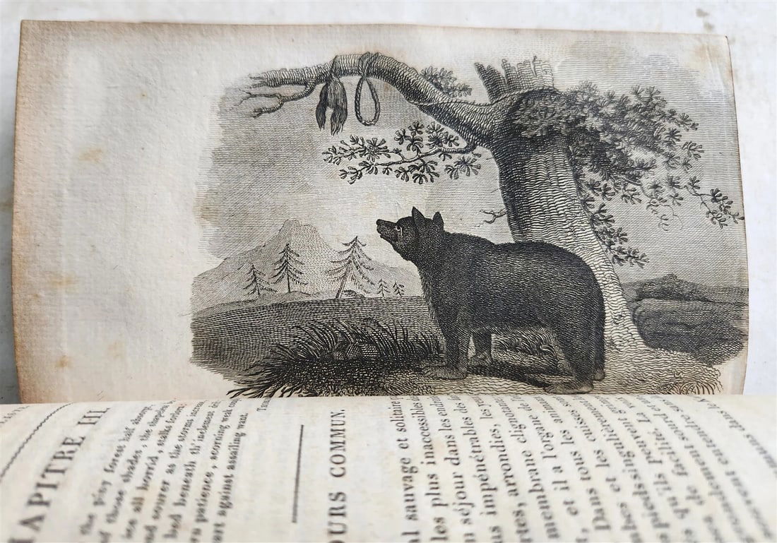 1818 HISTORY of ANIMALS ILLUSTRATED w/ 65 PLATES antique 6 VOLUMES - 5