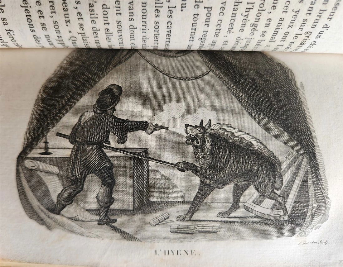 1818 HISTORY of ANIMALS ILLUSTRATED w/ 65 PLATES antique 6 VOLUMES - 7