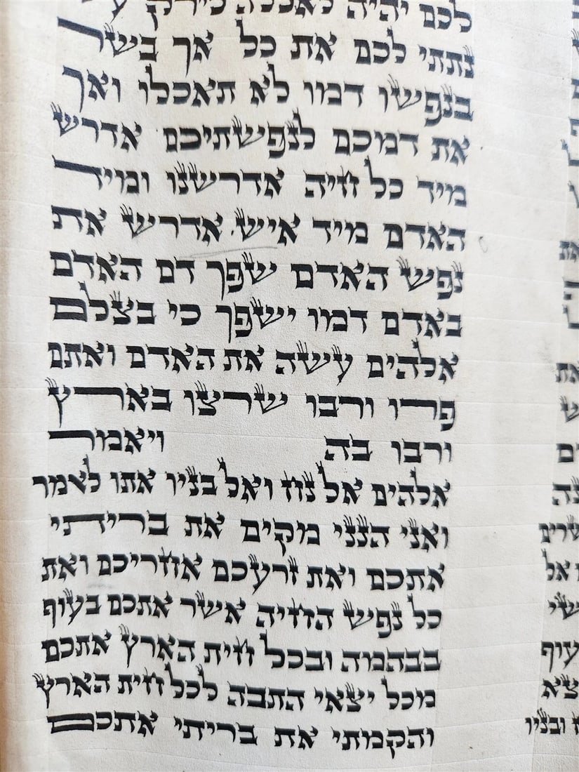 TORAH SCROLL FRAGMENT MANUSCRIPT on VELLUM antique BIBLE GENESIS ADAM & EVE - 3