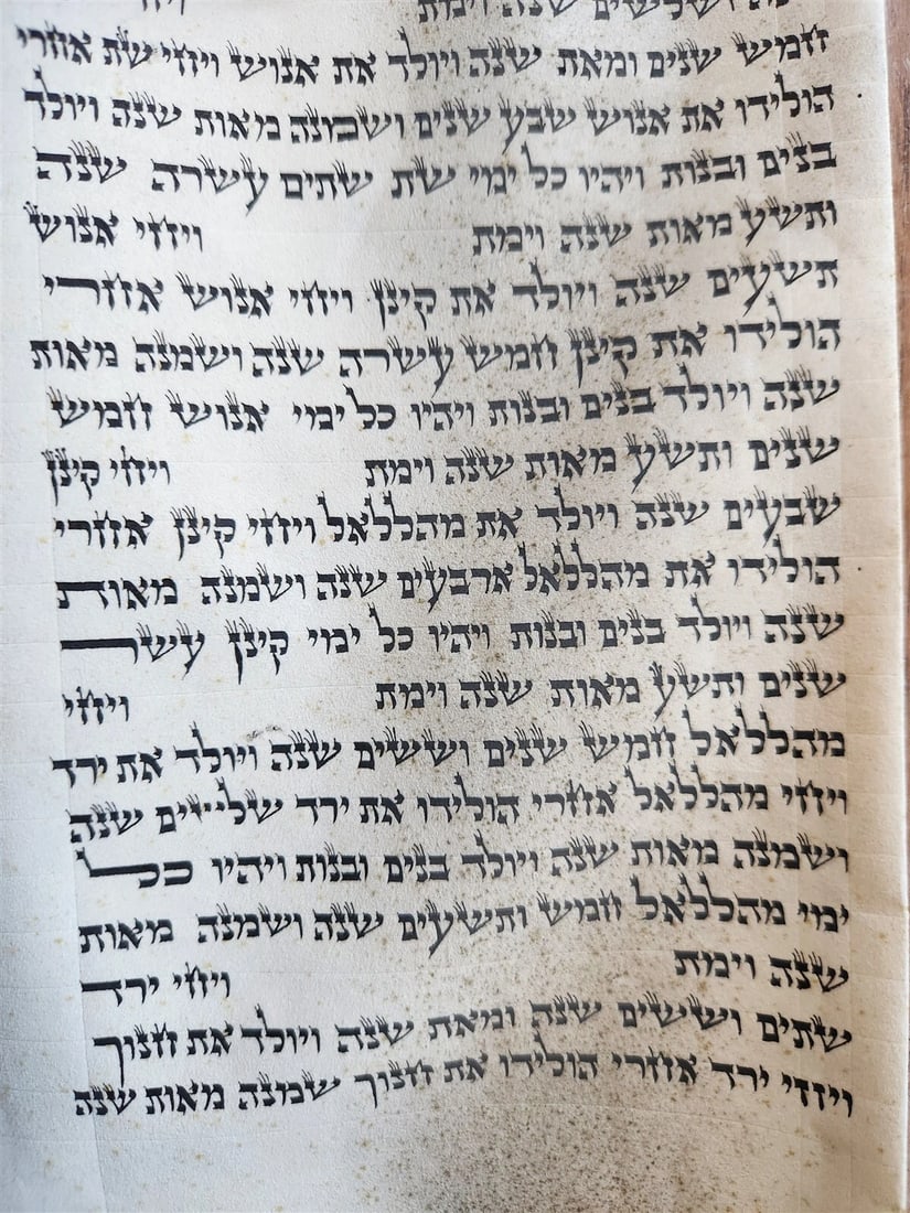 TORAH SCROLL FRAGMENT MANUSCRIPT on VELLUM antique BIBLE GENESIS ADAM & EVE - 4