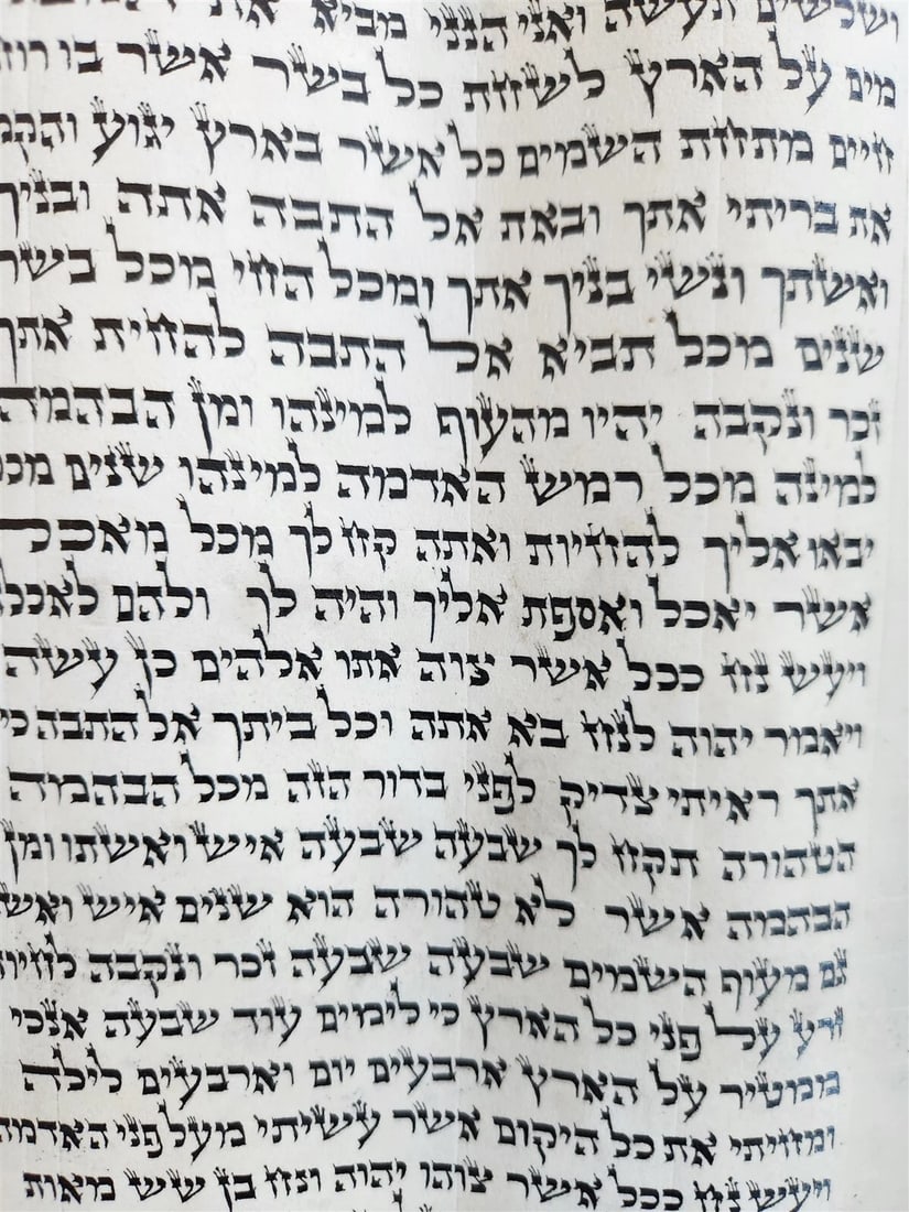 TORAH SCROLL FRAGMENT MANUSCRIPT on VELLUM antique BIBLE GENESIS ADAM & EVE - 6