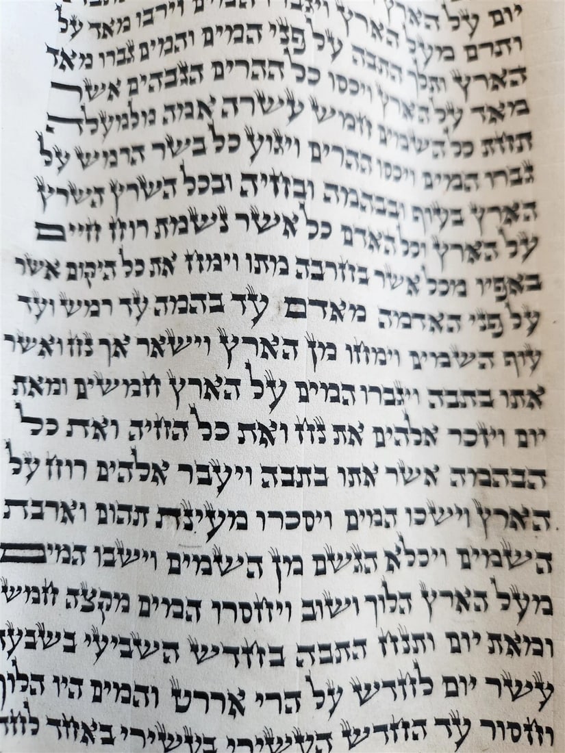 TORAH SCROLL FRAGMENT MANUSCRIPT on VELLUM antique BIBLE GENESIS ADAM & EVE - 7