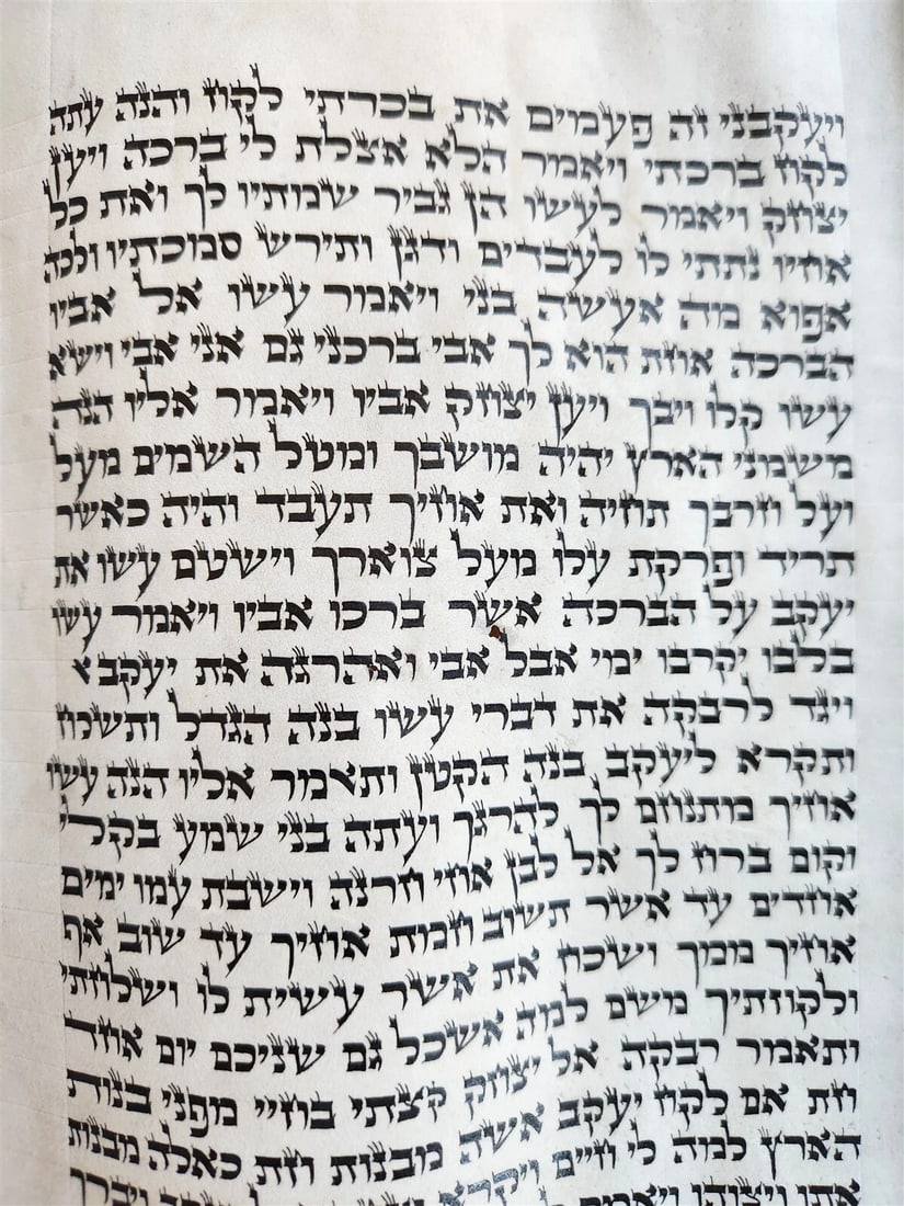 TORAH SCROLL FRAGMENT MANUSCRIPT on VELLUM antique BIBLE GENESIS 27:36 - 30:3 - 5