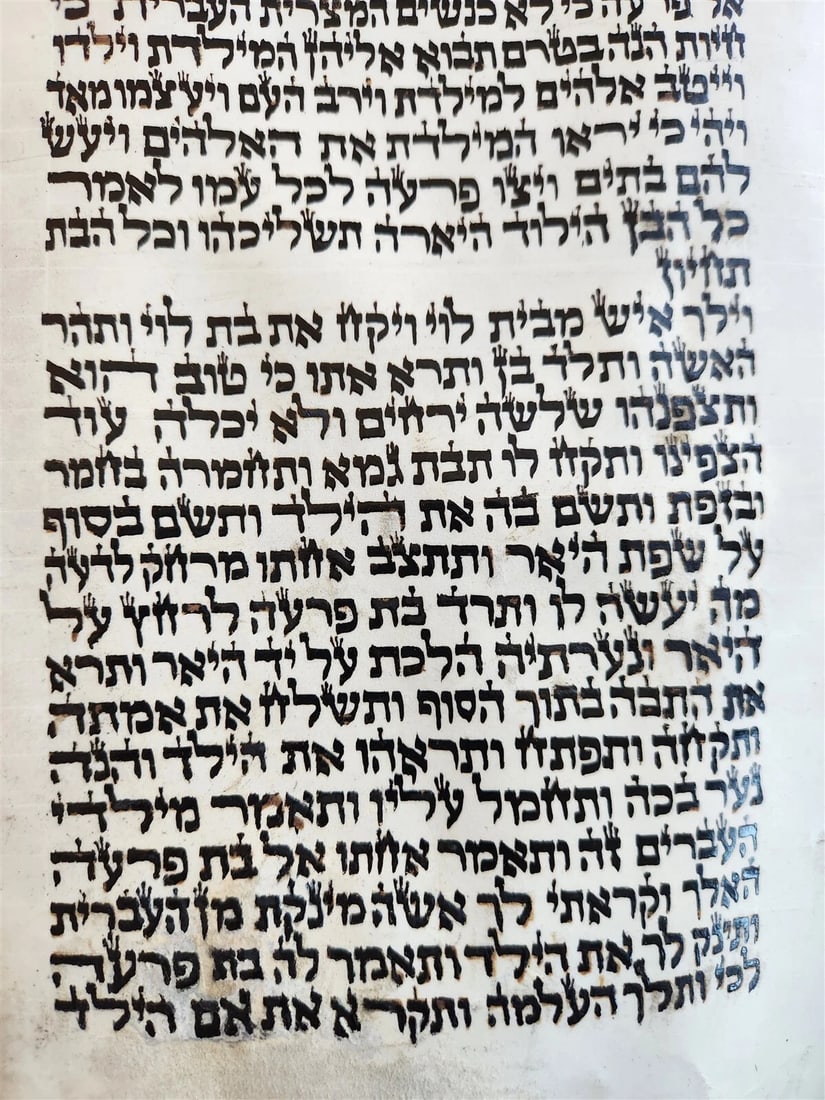 TORAH SCROLL FRAGMENT MANUSCRIPT on VELLUM antique BIBLE GENESIS 48:6 Exodus 3:7 - 2