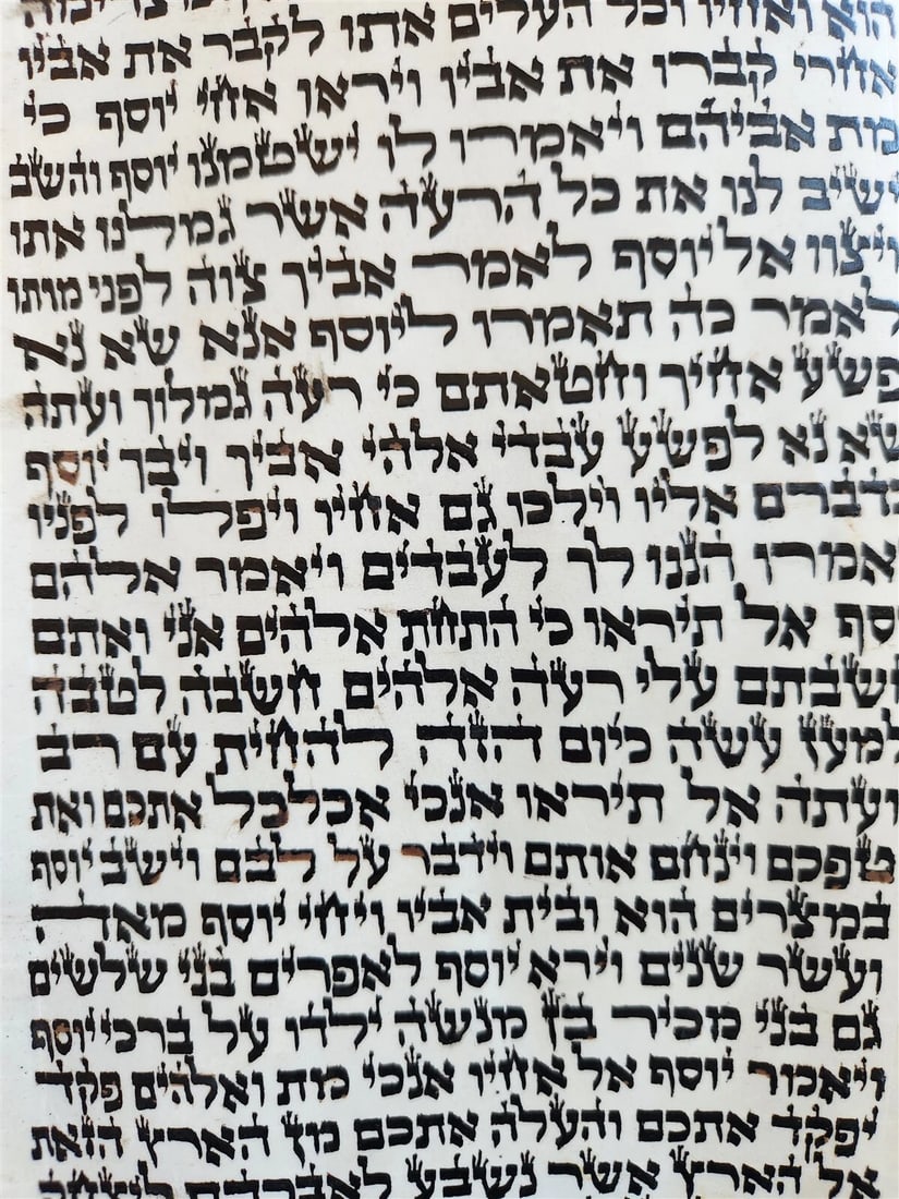 TORAH SCROLL FRAGMENT MANUSCRIPT on VELLUM antique BIBLE GENESIS 48:6 Exodus 3:7 - 3