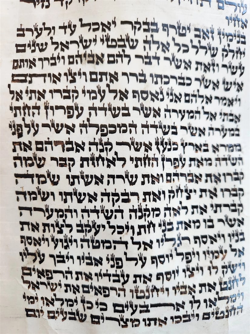 TORAH SCROLL FRAGMENT MANUSCRIPT on VELLUM antique BIBLE GENESIS 48:6 Exodus 3:7 - 4