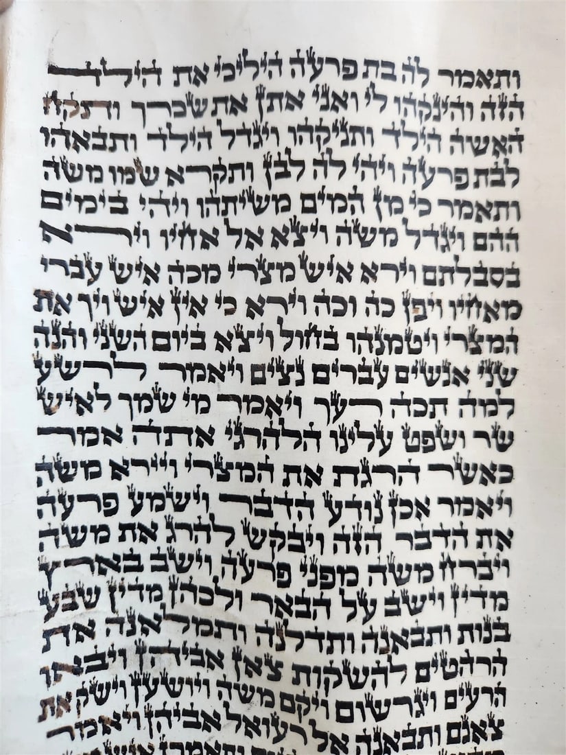 TORAH SCROLL FRAGMENT MANUSCRIPT on VELLUM antique BIBLE GENESIS 48:6 Exodus 3:7 - 7