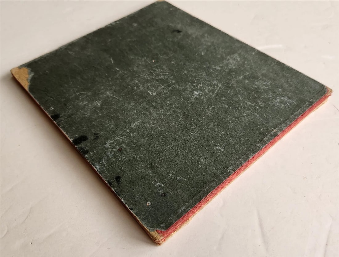 1900s antique ILLUSTRATED GERMAN CHILDREN BOOK NEUES BILDERALBUM accordion style - 2