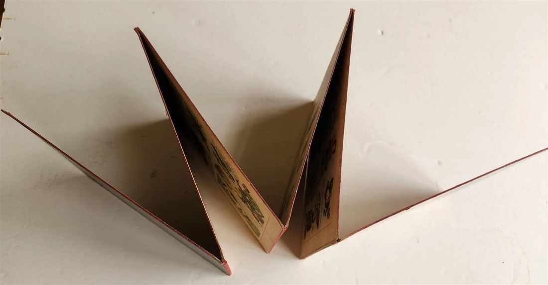 1900s antique ILLUSTRATED GERMAN CHILDREN BOOK NEUES BILDERALBUM accordion style - 6