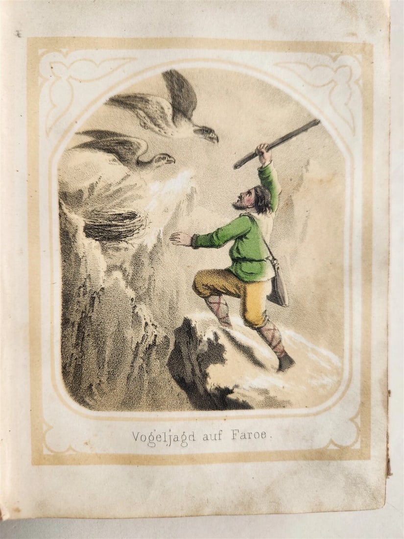 1854 ILLUSTRATED GERMAN CHILDREN BOOK antique NATURE & LIFE - 4