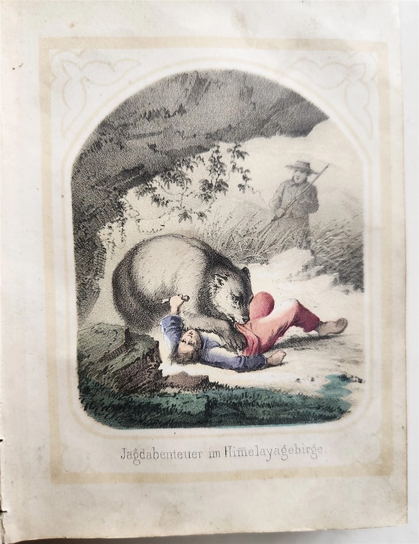 1854 ILLUSTRATED GERMAN CHILDREN BOOK antique NATURE & LIFE - 6