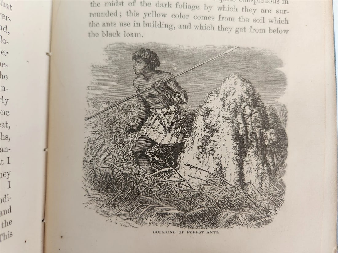 1871 MY APINGI KINGDOM LIFE in GREAT SAHARA PAUL DU CHAILLU antique ILLUSTRATED - 11