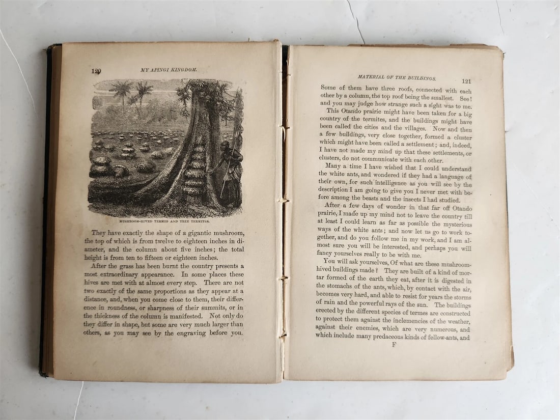 1871 MY APINGI KINGDOM LIFE in GREAT SAHARA PAUL DU CHAILLU antique ILLUSTRATED - 13