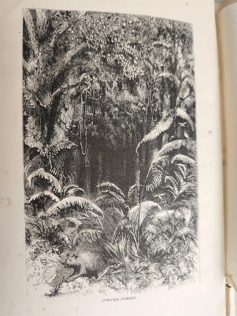 1871 MY APINGI KINGDOM LIFE in GREAT SAHARA PAUL DU CHAILLU antique ILLUSTRATED - 4