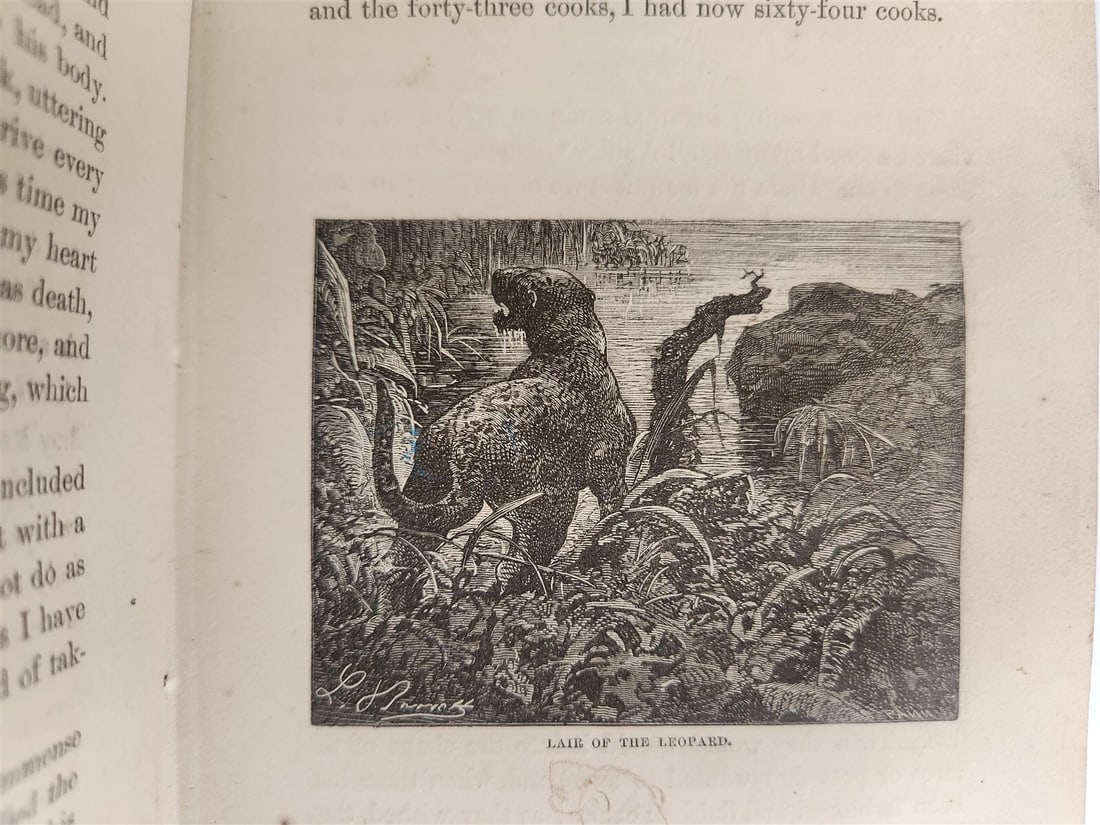 1871 MY APINGI KINGDOM LIFE in GREAT SAHARA PAUL DU CHAILLU antique ILLUSTRATED - 5