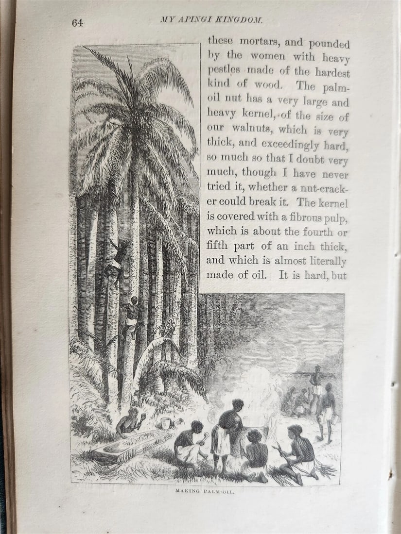 1871 MY APINGI KINGDOM LIFE in GREAT SAHARA PAUL DU CHAILLU antique ILLUSTRATED - 6