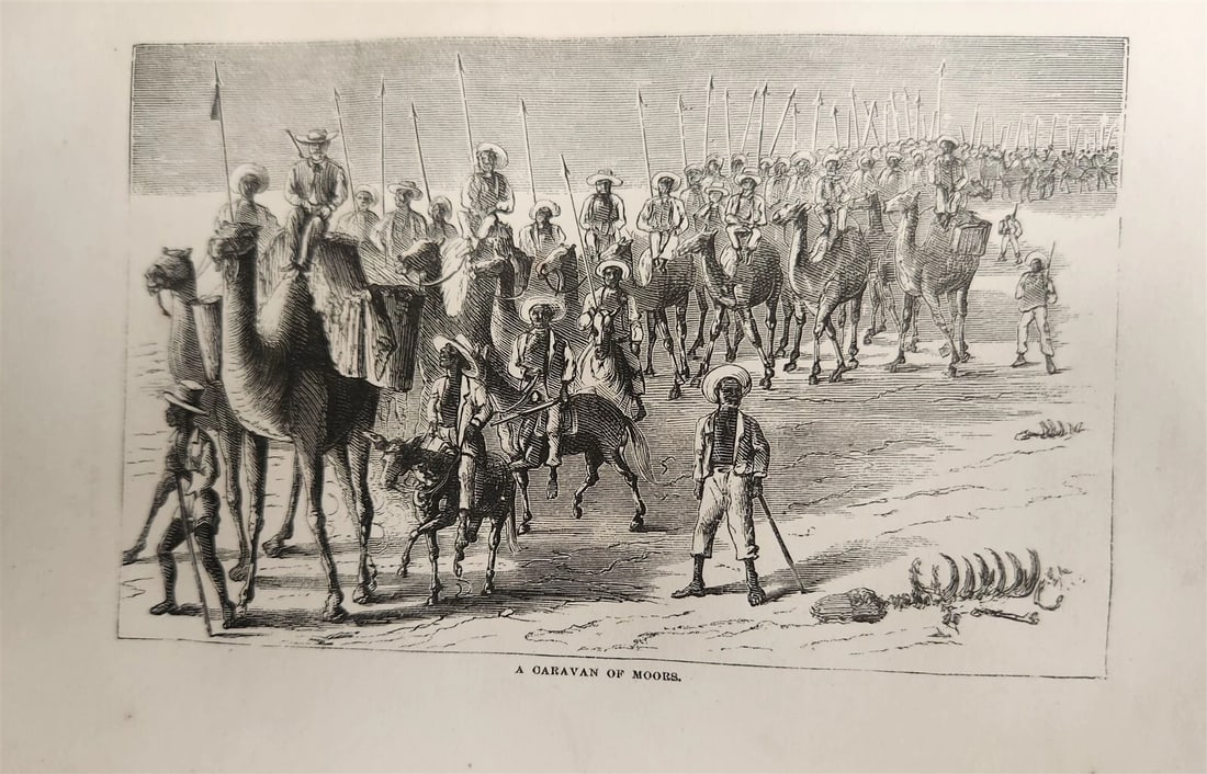 1871 MY APINGI KINGDOM LIFE in GREAT SAHARA PAUL DU CHAILLU antique ILLUSTRATED - 8