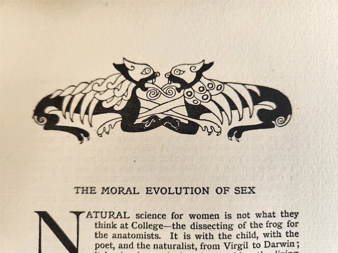 1896 EVERGREEN NORTHERN SEASONAL BOOK OF SUMMER antique ARTS & CRAFTS ILLUSTR. - 17